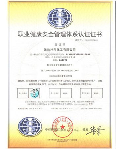 職業(yè)健康安全管理體系認(rèn)證證書